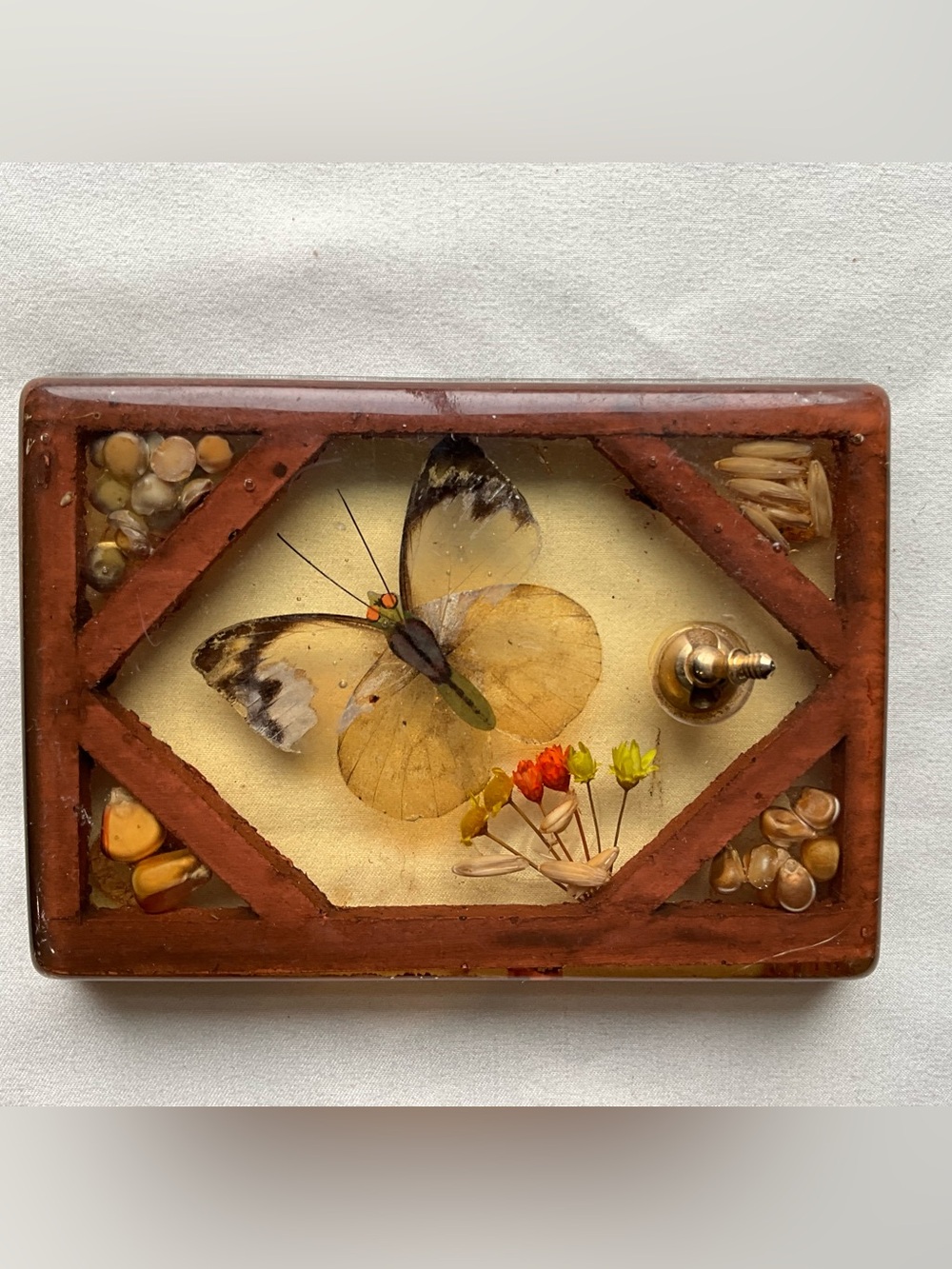 Vintage Clear Resin/Lucite Pressed Seeds & Butterfly Pen Holder Decor MCM